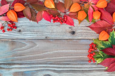 Sonbahar natürmort sarı ve kırmızı yaprakları, physalis, ahşap tenli arka plan tasarımı için üzerinde guelder-gül meyve çiçekleri. Metni veya bir yazıt için yer. Yatay atış