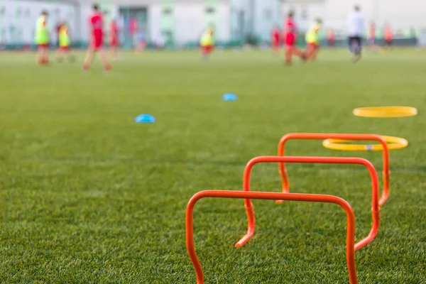 The sports equipment in the form of gate for a training of football players costs on the football green field. football players on a background