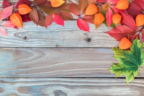 Autumn still life from yellow and red leaves, flowers of physalis, guelder-rose fruits on a wooden weather-beaten background for design. The place for the text or an inscription. Horizontal shot