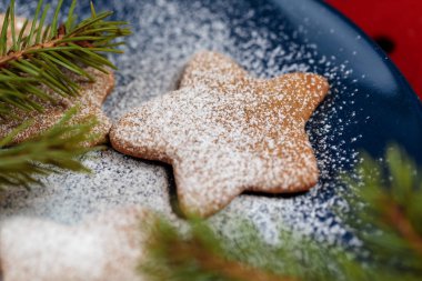 Gingersnap bir yıldız şeklinde krema şeker ile strewed ve yeşil çam ağacı dalları tarafından dekore edilmiş mavi plaka üzerinde yatıyor. Bir tabak altında kırmızı bir peçete