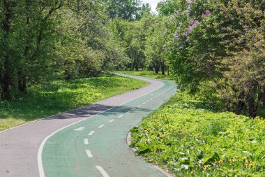 Şehir içinde kamu park alanı. Asfaltlı yol için bölünmüş