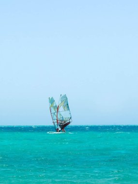 Denizde yelken liiki sörfçü. Onlar eac yanında yüzen