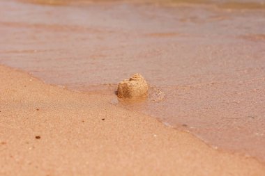 Kaba kumdan güneşli kumlu plaj, deniz dalgası co rulo