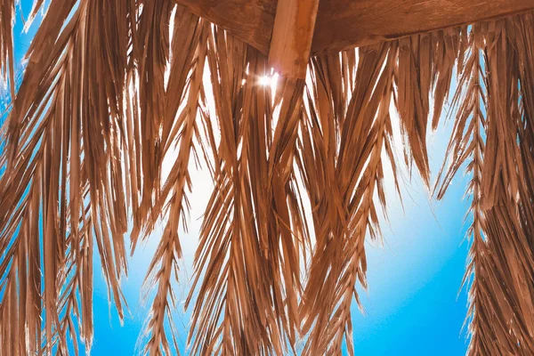 The dried leaves of a palm tree create a shadow. They lie on an — Stock Photo, Image