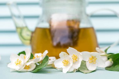 Cam danalık sıcak yasemin çayı. Taze çiçekler ve tomurcukların etrafında