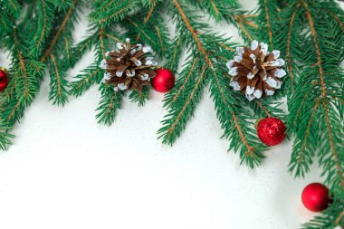 Beyaz yeni yıl arka plan. Dalları bir köknar ağacı 