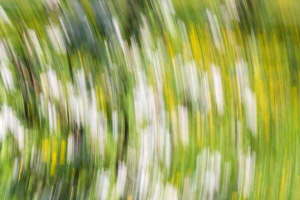 Абстрактный фон желтого и зеленого цвета. Размытость движений
