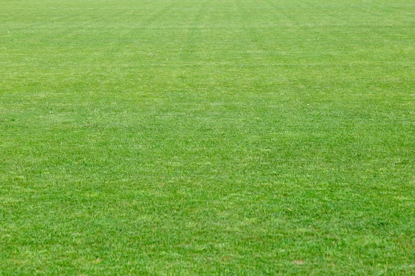 Kort skära naturlig välpreparerade grön gräsmatta från ett färskt gräs. — Stockfoto