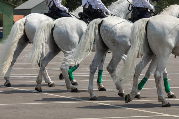 Ló rendőrtisztek terpeszben lovak fehér színű március a város — Stock Fotó