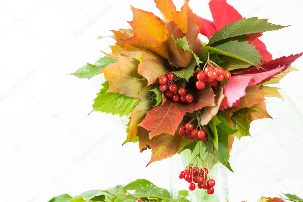 Bouquet from the Autumn Foliage. Different varieties of maples
