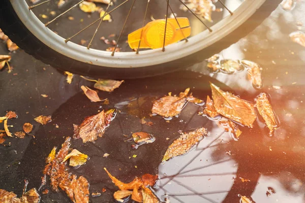 Reflection in the autumn moon of the bicycle wheel. Yellow fallen leaves float in water.