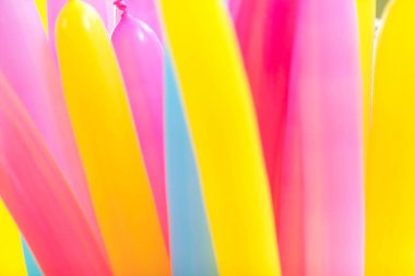 Renkli oval kiraz kuşu ballons . Metin veya festival konsepti için kopya alanı ile dekore edilmiş parti tasarımı