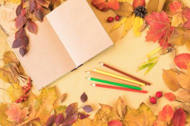 Kayıtlar veya çizim için açık defter, turuncu, kırmızı, sarı ve altın sıcak renklere dönüşen sonbahar yaprakları çerçeveleme renkli boya kalemleri bir dizi.