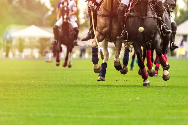 Na zápase jezdí koně polo. Koňské nohy obalené obvazy, aby chránily kladivo. Míč se dostal před hráče — Stock fotografie