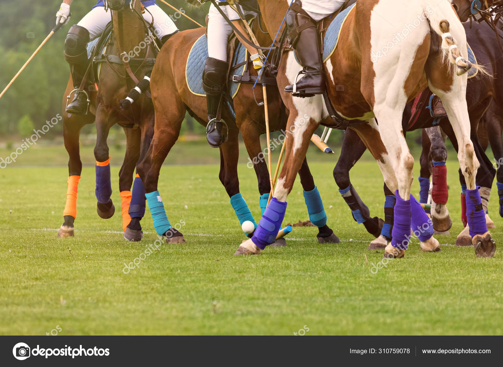 Foto de Cavalos De Polo e mais fotos de stock de Jogo de Polo