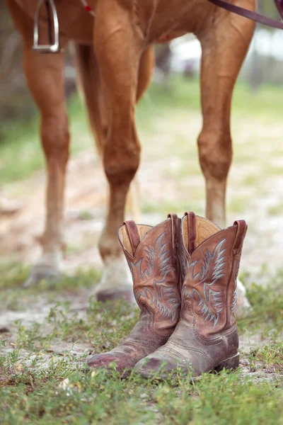 The legs of a red-colored quaterhorse and cowboy old boots in the foreground — Stock Photo, Image