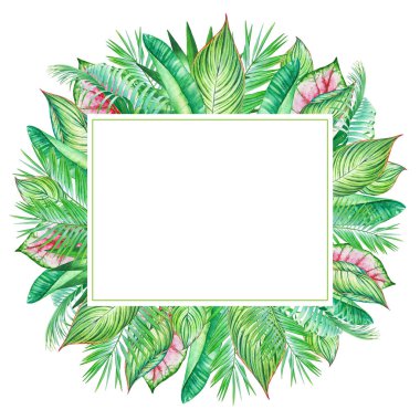 Tropik bitkiler ve beyaz arka plan üzerinde izole yaprak suluboya çerçeveli. Düğün davetiyeleri, metin için boş alan ile tebrik kartları tasarımı için çizimi.