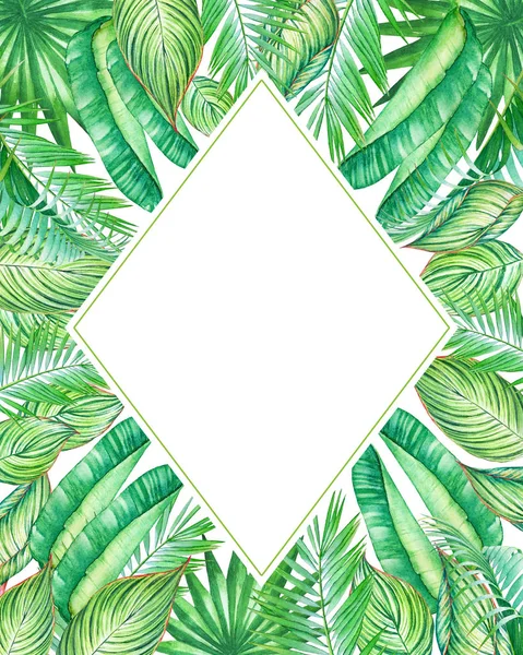 Watercolor Frame Tropic Plants Leaves Isolated White Background Illustration Design — Stock Photo, Image