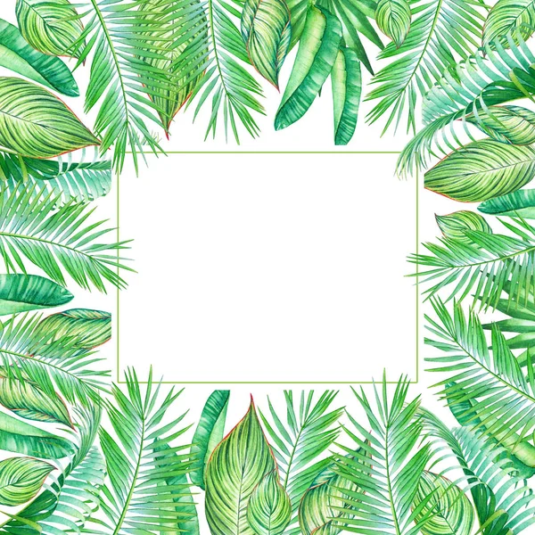 Tropik Bitkiler Beyaz Arka Plan Üzerinde Izole Yaprak Suluboya Çerçeveli — Stok fotoğraf