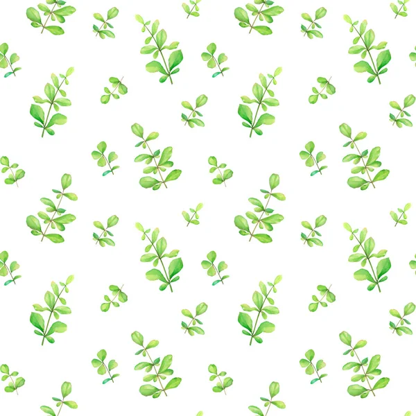 Vzor Bezešvé Akvarel Zelenými Rostlinami Izolovaných Bílém Pozadí — Stock fotografie