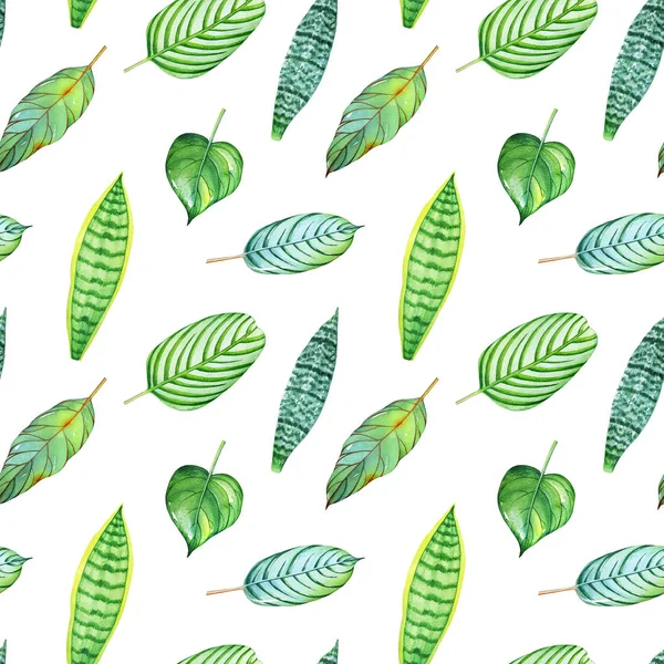 Vzor Bezešvé Akvarel Zelené Tropické Listy Izolované Bílém Pozadí — Stock fotografie