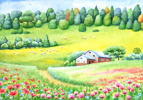 Vidék Vidéki Fekvő Búzamezők Vadvirágok Kis Fehér Ház Élénk Akvarell — Stock Fotó