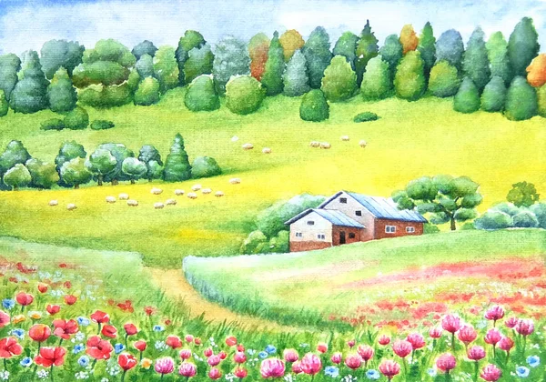 Aquarelle Peinture Vivante Campagne Paysage Rural Avec Champs Blé Fleurs — Photo