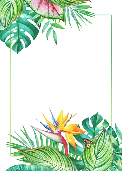 Akwarela Ramki Tropikalne Liście Kwiaty Białym Tle Ilustracja Projekt Zaproszenia — Zdjęcie stockowe