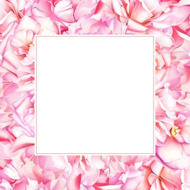 Sulu boya ile pembe şakayık ve metin için yer ile gül çiçek çerçeve çiçek