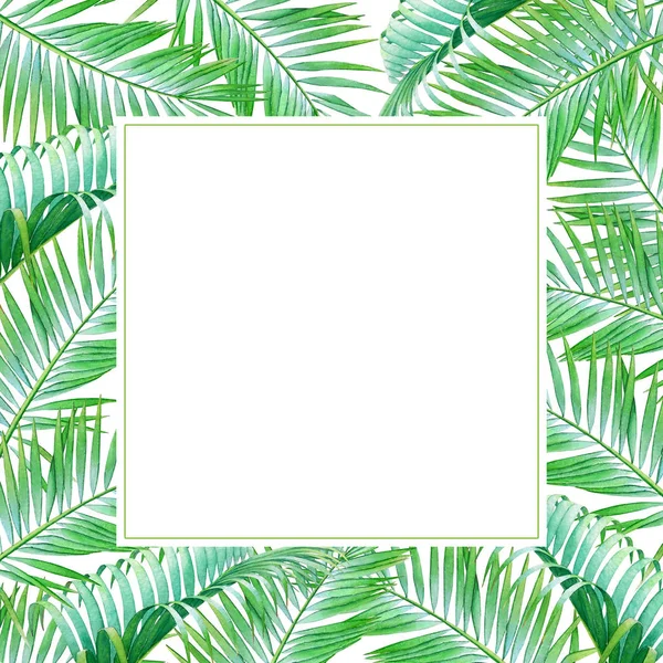 Akvarell Ram Med Tropic Grön Palm Lämnar Isolerade Vit Bakgrund — Stockfoto