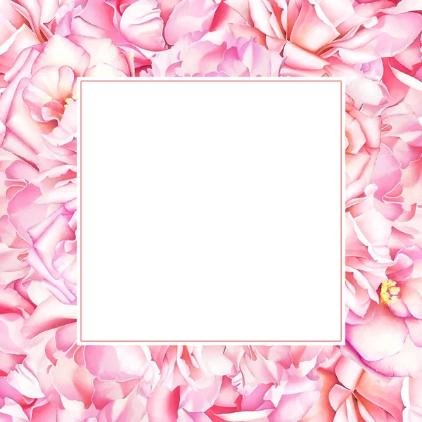 Sulu boya ile pembe şakayık ve metin için yer ile gül çiçek çerçeve çiçek