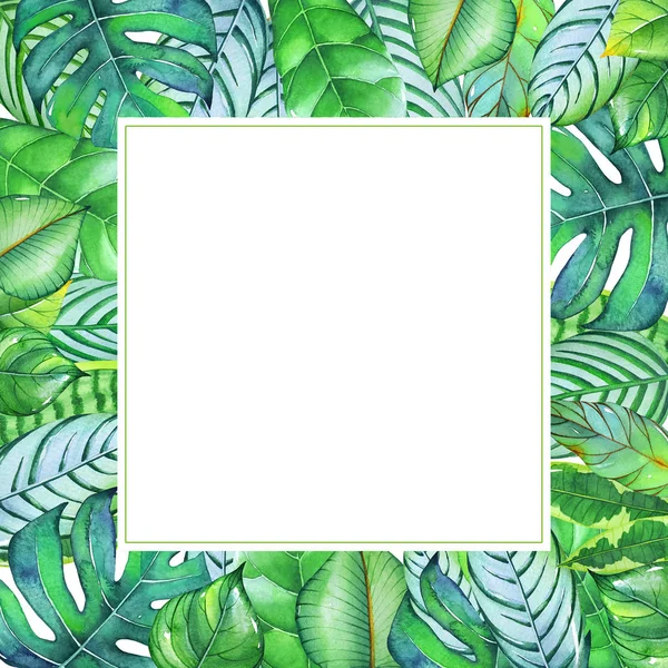 Watercolor Frame Tropic Plants Leaves Isolated White Background Illustration Design — Stock Photo, Image