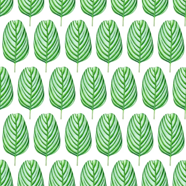 Vzor Bezešvé Akvarel Zelenými Rostlinami Izolovaných Bílém Pozadí — Stock fotografie