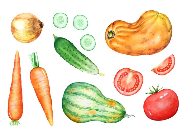 Une Collection Légumes Dessinés Main Aquarelle Isolés Sur Fond Blanc — Photo