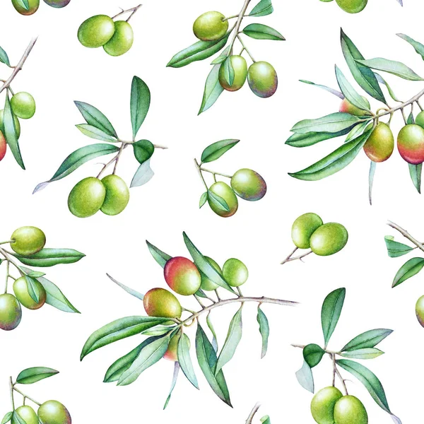 オリーブと緑の葉が白い背景で隔離の水彩のオリーブの木の枝をシームレスなパターン — ストック写真
