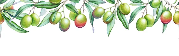 オリーブと緑の葉が白い背景で隔離の水彩のオリーブの木の枝を水平のシームレス パターン — ストック写真