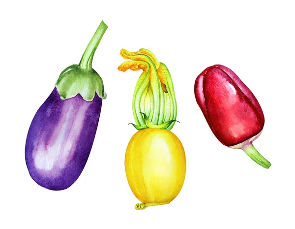 Колекція Акварельних Овочів Намальованих Рукою Ізольовані Білому Тлі Фіолетовий Баклажан — стокове фото