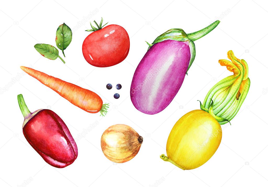 A collection of watercolor hand drawn vegetables isolated on white background. Traditional ingredients for vegetable stew.
