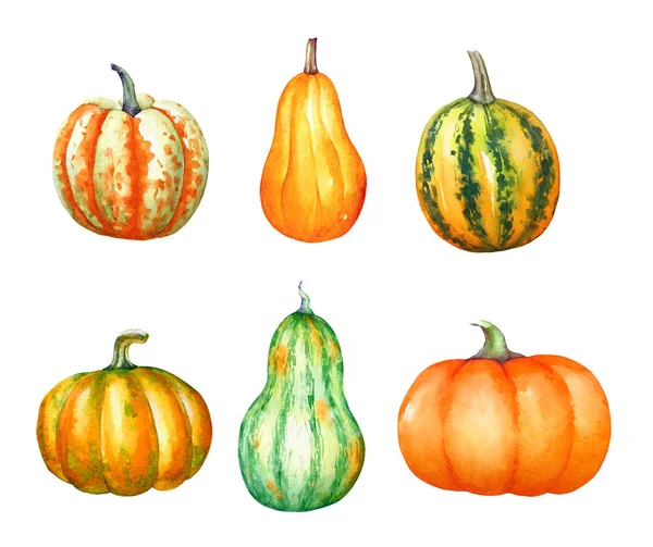 Een Collectie Van Aquarel Hand Getekende Kleurrijke Pompoenen Geïsoleerd Witte — Stockfoto