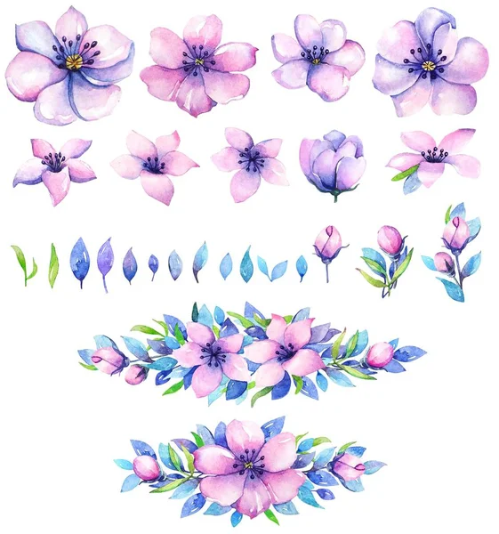 Collectie Van Aquarel Bloemen Elementen Voorontwerp Roze Paarse Bloemen Met — Stockfoto