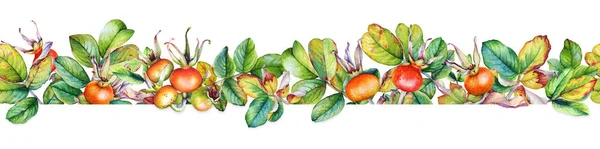 白い背景にベリーと水彩ローズヒップの枝と花のシームレスなパターン — ストック写真