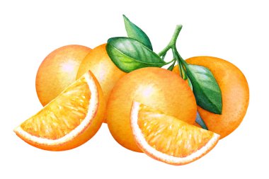 Beyaz arka plan üzerinde turuncu suluboya kompozisyon.