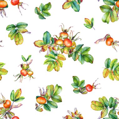 Çilek ile bir gül kalça bitkisulu dalları ile Dikişsiz desen