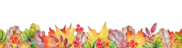 Watercolor Seamless Border Autumn Leaves Berries White Background — Stock Photo, Image