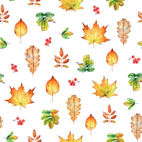 Nahtloses Muster Mit Aquarell Herbst Blätter Und Beeren Auf Weißem — Stockfoto