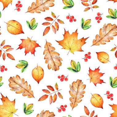 Suluboya sonbahar yaprakları ve çilek ile dikişsiz desen