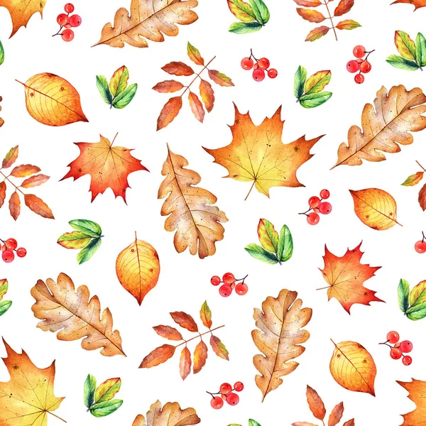 Безшовний візерунок з акварельними осінніми листям та ягодами — стокове фото