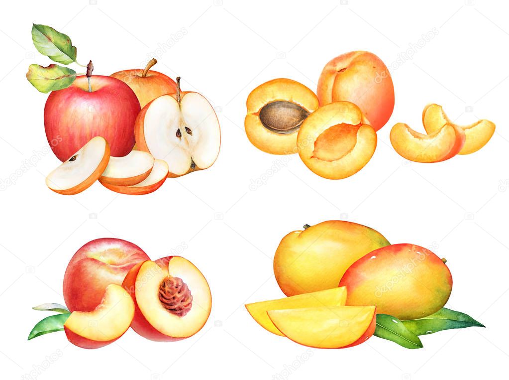 Group of watercolor fruits. Apple, apricot, peach and mango.