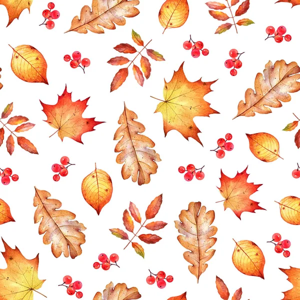 Aquarelle Motif Sans Couture Avec Des Feuilles Automne Des Baies — Photo