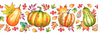 Beyaz arka plan suluboya kabaklar ve kuru sarı yaprakları ile Sonbahar dikişsiz desen.